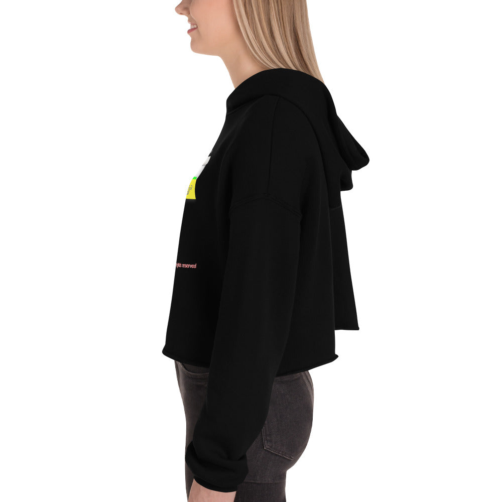 PunsterWear Logo  |  Women's Fleece Crop Top Hoodie