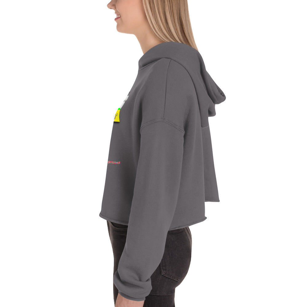 PunsterWear Logo  |  Women's Fleece Crop Top Hoodie